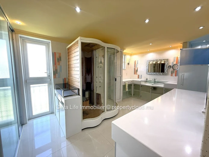 Ce spacieux et luxueux penthouse est désormais disponible à la vente !