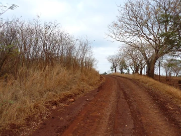 Residential Land