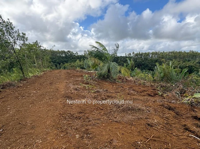 One-of-a-kind elevated agricultural plot with spectacular sea, river & mountain views of 4,405.49m² 
