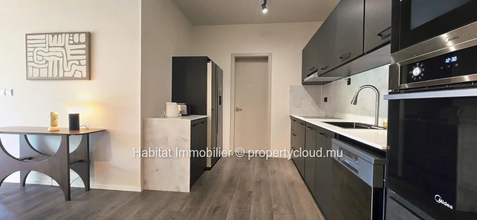 Appartement contemporain meublé et équipé de 104 m² à Helvétia