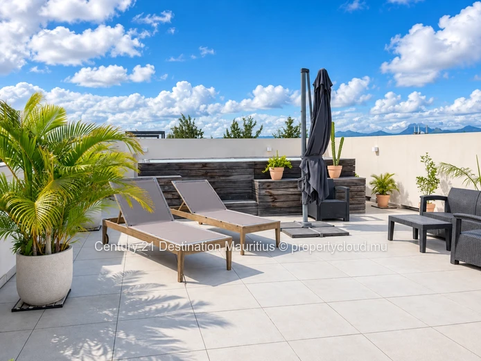 Penthouse with Rooftop Pool