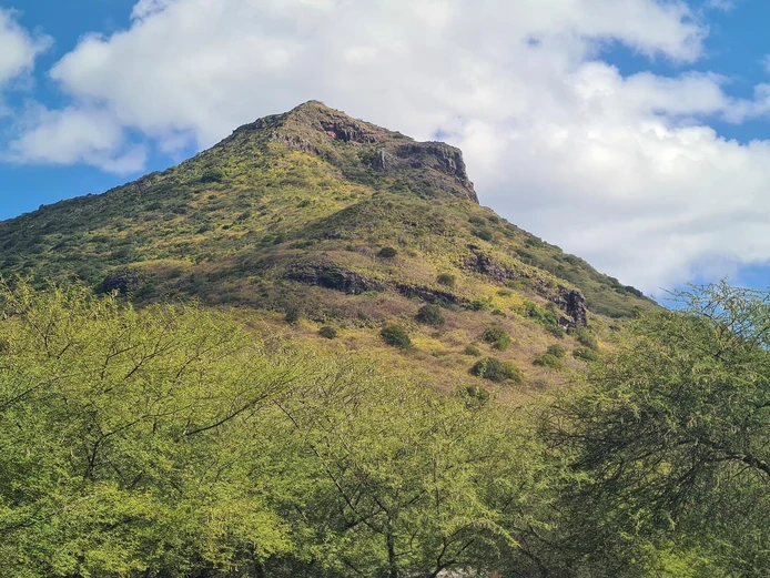 Residential land of 3083m2 for sale in a secure subdivision in Tamarin, with mountain views. Price Rs.