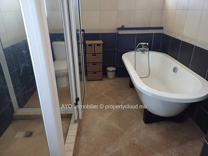 Beautiful 4 bedroom villa with pool and huge garden in Calodyne