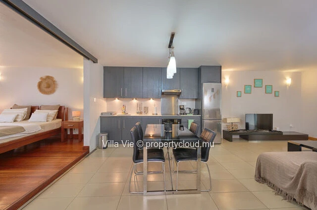 Mont Choisy - Bel appartement d'une chambre