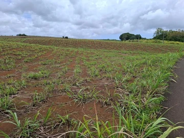 12,400 m² agricultural land