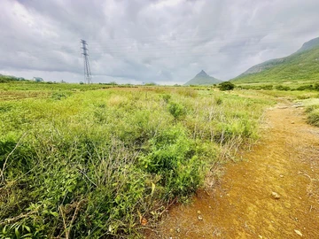 Agricultural Land
