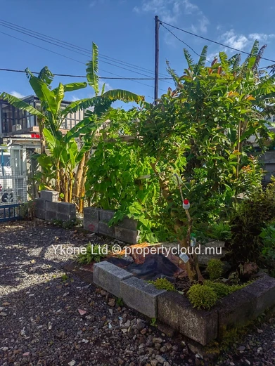 House For Sale In Curepipe