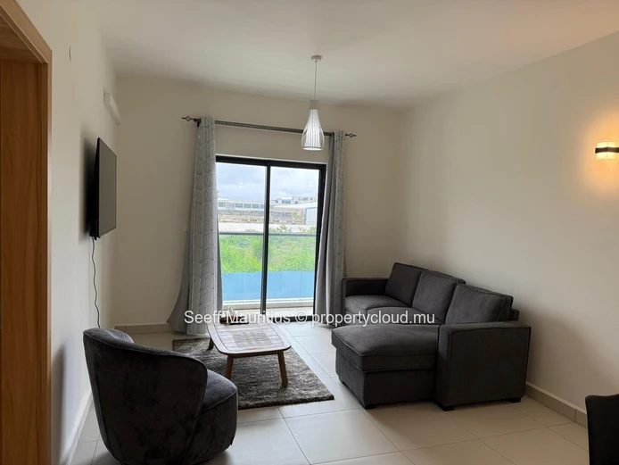  Appartement Moderne et Meublé de 1 Chambre à Riverpark Trianon