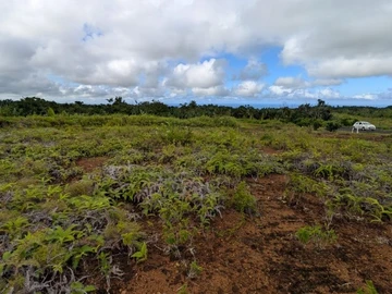 Residential Land