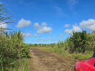 Terrain Agricole