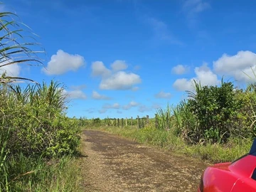 Agricultural Land