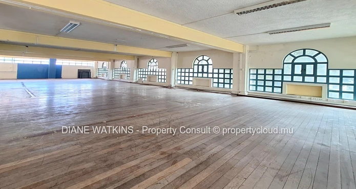 A Vendre - Rez de chaussée et Mezzanine Spacieux à Vendre au Centre de Port-Louis.