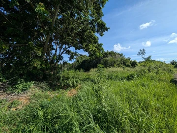 Residential Land