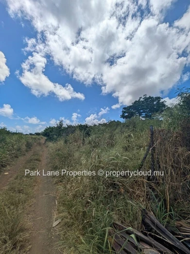 À vendre – Terrain résidentiel de 4 206 m² à Petit Raffray