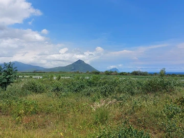Residential Land
