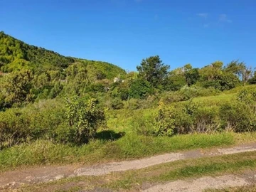 Land