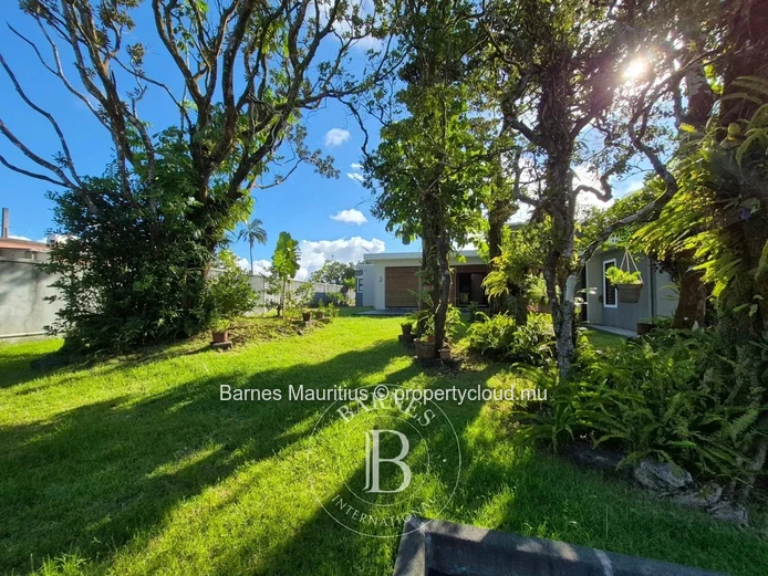 CUREPIPE - Bureaux - 55,4 m²
