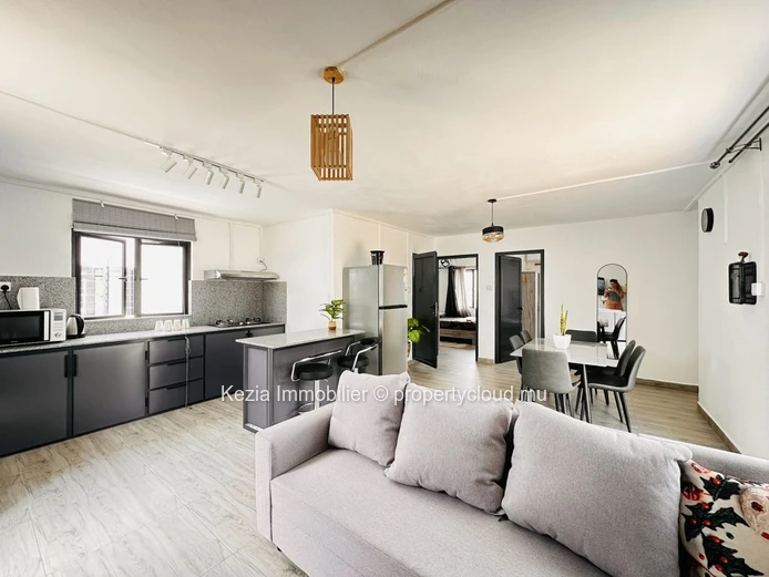 Contemporary Single-Storey House