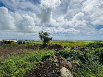 Land