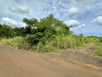 Terrain