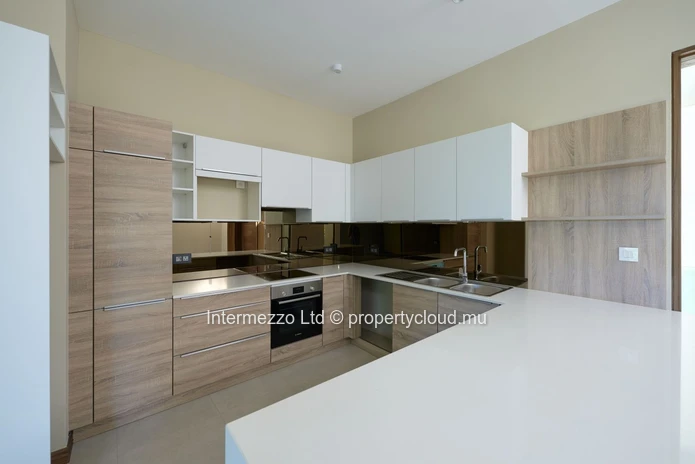 partment Private Rooftop Pool Pointe aux Canonniers | 650000 USD