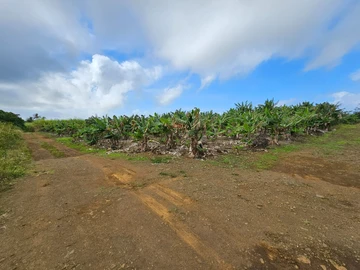 Agricultural Land