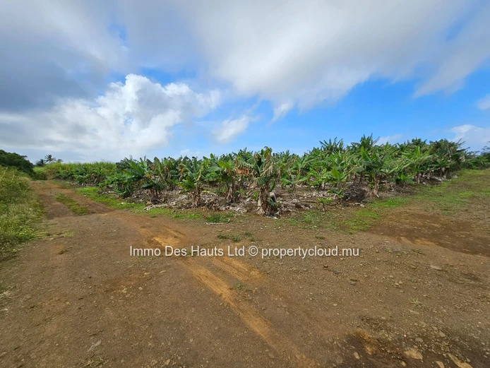Agricultural Land for sale Union Vale 