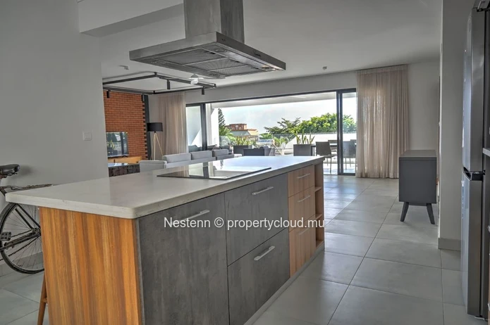 Brand-new apartment in a modern residence