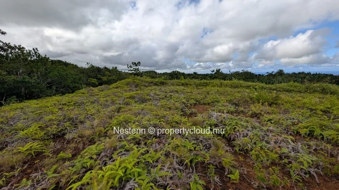 Terrain de 2,321m2 près d'une rivière 