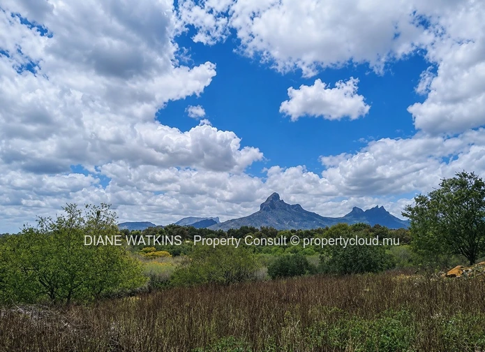 An Exceptional Opportunity in Tamarin – 7-Arpent Residential Land