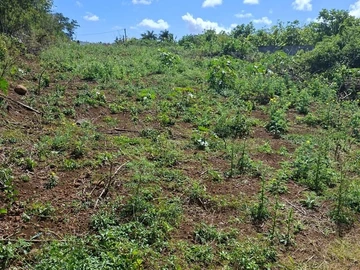 Residential Land