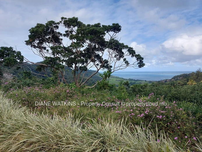 Exceptional villa for rent in Anse Jonchee in the middle of nature!