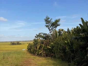 Agricultural Land