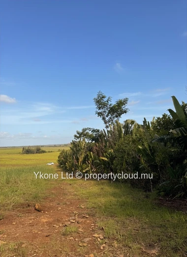 Agricultural Land For Sale In Riche-En-Eau