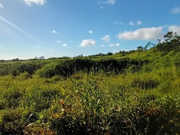 Terrain Agricole