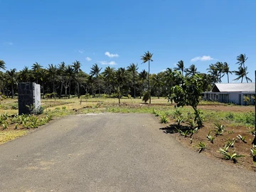 Land