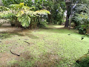 Residential Land