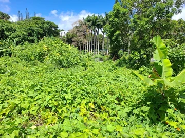 Residential Land