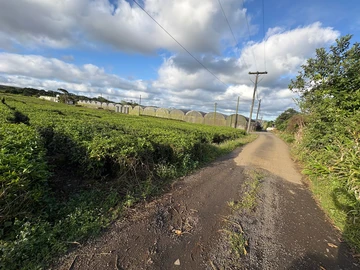 Agricultural Land