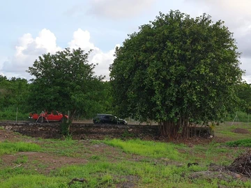 Terrain Agricole