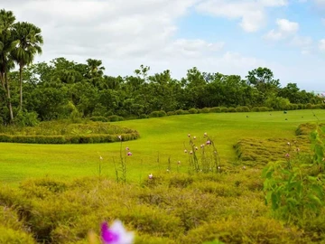 Residential Land