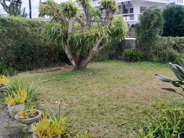 Ground floor of a house for rent as office in the center town of Quatre-Bornes- Good Opportunity !!