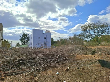 Residential Land