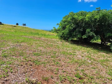 Residential Land