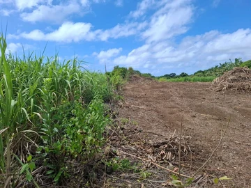 Residential Land