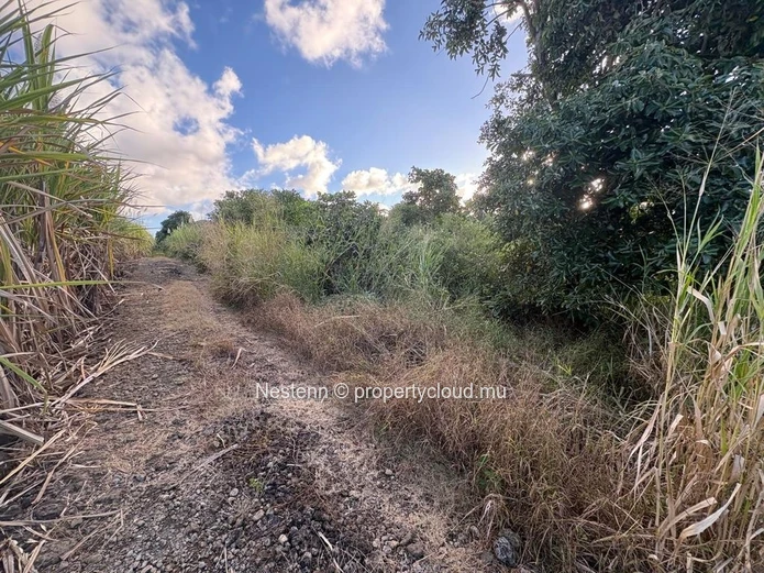 Terrain agricole de première qualité à vendre – 1 729,80 m² à Mare d'Albert