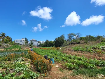 Residential Land