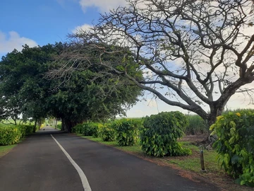 Residential Land