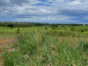 Agricultural Land