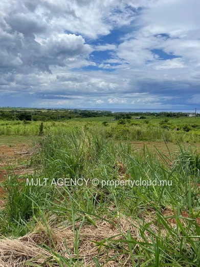 Terrain Agricole - 7750 m² Surinam, Sud